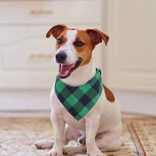 Z Collar De Bandana For Perro, Pañuelo Doble Reversible,