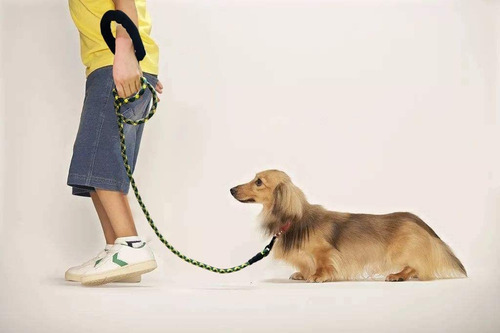 Coleira para cães grandes
