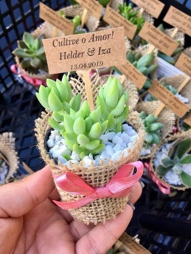 Imagen 6 de 8 de Suculentas, Cactus Recuerdos Eventos, Matrimonio,bautizo