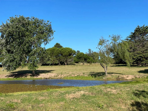 Imagen 16 de 16 de Venta! Terrenos En Nuevo Barrio Privado En La Barra