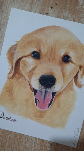 Cuadrol Retrato De Tu Mascota Pintado A Mano 50 X 60 Cm