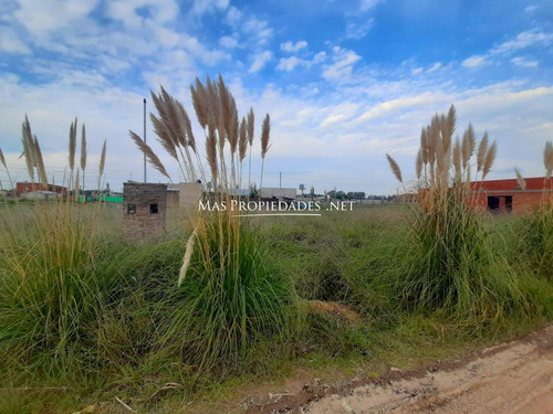 Imagen 1 de 4 de Terreno En Moradas De Maximo
