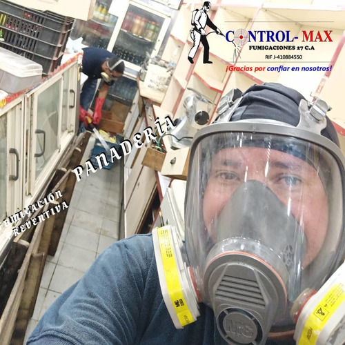 Imagen 9 de 10 de Servicio De Fumigacion Comercial Local Chiripas Cucarachas