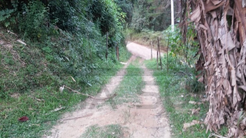 Imagem 4 de 13 de Chácara À Venda Em Juquitiba - 60 - 68577215