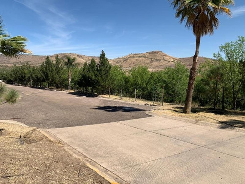 Imagen 4 de 7 de Terreno En Venta Fraccionamiento Ciudad San Isidro