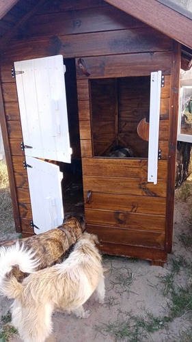 Imagen 9 de 10 de Hotel, Guardería Y Alojamiento De Perros