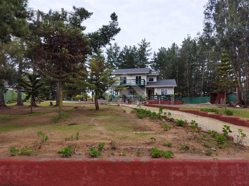 Casa En Venta De 4 Dorm. En Algarrobo