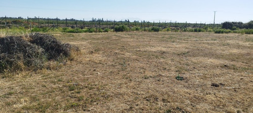Venta De Parcela De 5.600 M² Totalmente Plano En Peralillo