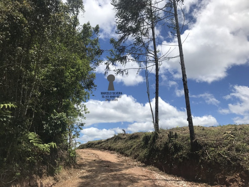 Imagem 11 de 12 de Chácara A Venda No Bairro Centro Em Bocaiúva Do Sul - Pr. - 516-1