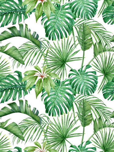 Imagen 3 de 3 de Vinilos Decorativos Mural Adhesivo Empapelado Tropical