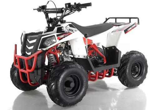 Cuatrimoto 110cc Niño 4 Tiempos Gasolina Plr