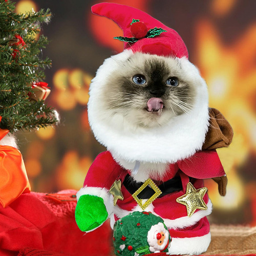 Disfraz Navideño Para Mascotas Disfraz Divertido De Papá Noe