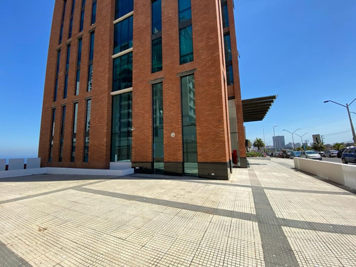Local Comercial En Privilegiada Ubicación