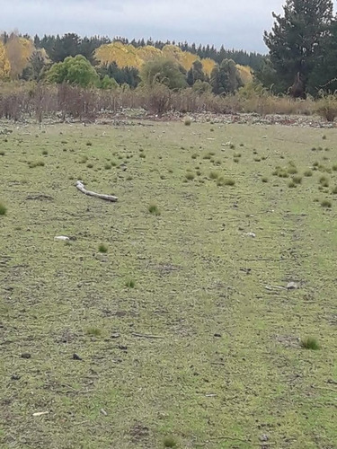Terreno En Comuna De Tucapel, Región Del Biobío