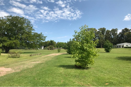 Imagen 6 de 24 de Lotes En Venta Barrio Perimetrado Villa Elisa