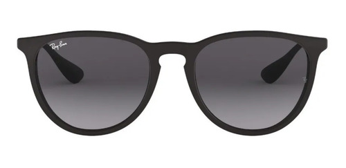 Ray-Ban Erika Classic RB4171 - Grey - Policarbonato - Degradada - Matte black - Nailon - Matte black - Metal - Standard