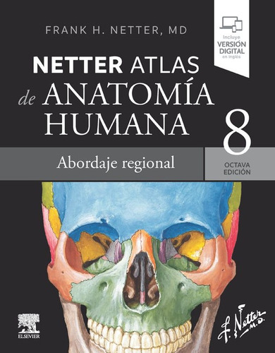 Netter Atlas De Anatomia Humana Abordaje Regional 8ª Ed -  N