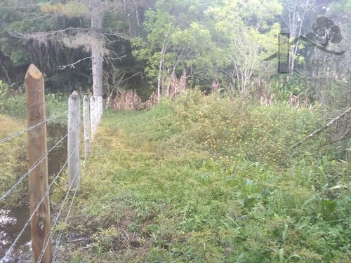 Imagem 1 de 4 de Cód 3104 - 30.000 M² De Área Com Água De Mina - 3104
