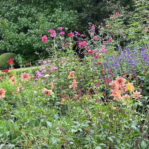 Libro Un Año En El Jardín Clara Billoch Tapa Dura Catapulta