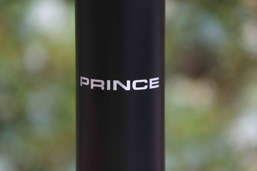 Imagen 2 de 3 de Repuesto Purificador Prince Negro