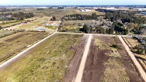 Terreno En Venta En Barrio Parque Altos El Ombu, Exaltación De La Cruz, Los Cardales, Gba Norte