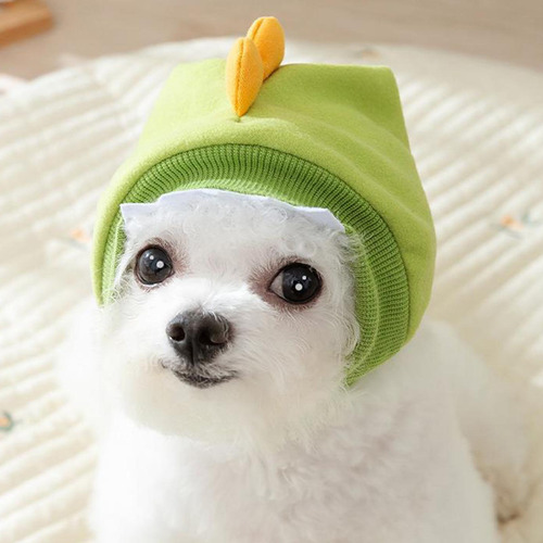 Gorro Para Mascotas Gorro Para Mascotas Gorro Calmante De Mo