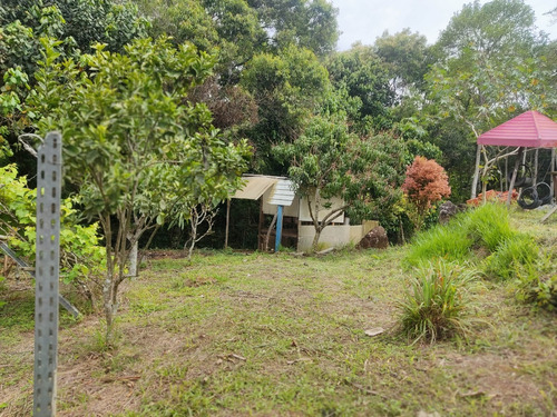 Chácara À Venda Em Itapeva - Mg - 3.360m² Com Casa Construída