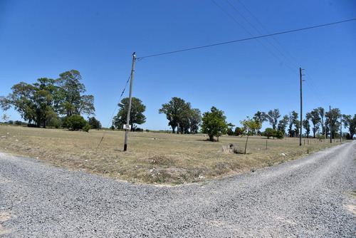 Imagen 3 de 4 de Terreno - La Plata