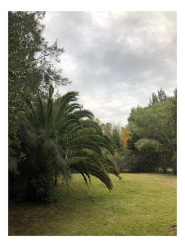 Imagen 4 de 21 de Quinta En Venta - 1000mts2 - Barrio El Rodeo, Coronel Brandsen