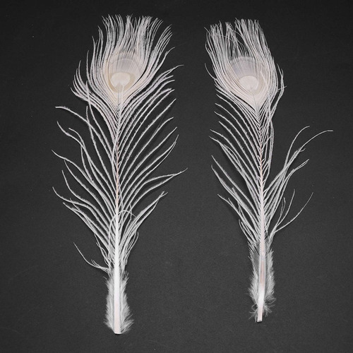 50 Unidades De Plumas De Pavo Real Blancas Naturales En El O