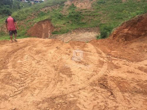 Imagem 7 de 22 de Terreno Amplo Para Desenvolvimento Imobiliário. - Te0019
