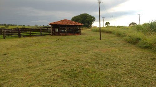 Chácara, Sitío De 3 Alqueires Na Cidade De Nova Castilho Sp, Regiao De São Jose Do Rio Preto E Araçatuba Sp