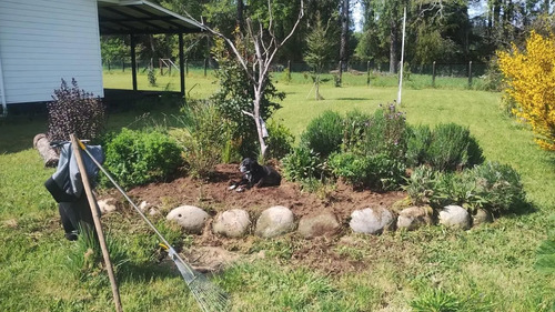 Venta Parcela De Agrado En Villarrica