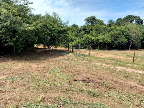Imagem 20 de 30 de Chácara, Campo Alto, Pirassununga - R$ 180 Mil, Cod: 10131719 - V10131719