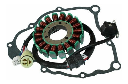 Estator Y Junta  Yamaha Bear Tracker 250 Yfm250x 2001 - 2004