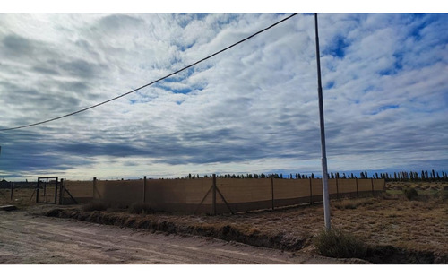 Terreno San Rafael Mendoza - Venta