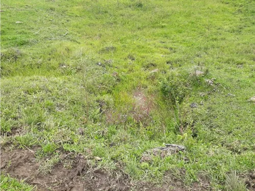 Vendo O Permuto Finca En Junin Cundinamarca