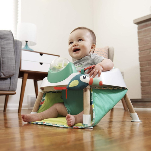 Saltador De Puerta Y Asiento De Actividades 2 En 1 Evenflo