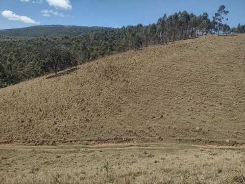 Imagem 11 de 14 de 20- Sem Burocracia Lotes Plainos Em Nazaré 10 Mil De Entrada