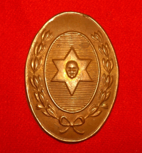 Placa De Jefe De Policia Argentina Provincia De Salta 1930s