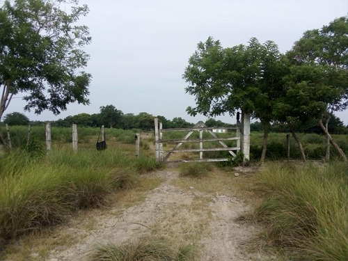 Venta Rancho Ganadero 100 Hectáreas Tamiahua Veracruz