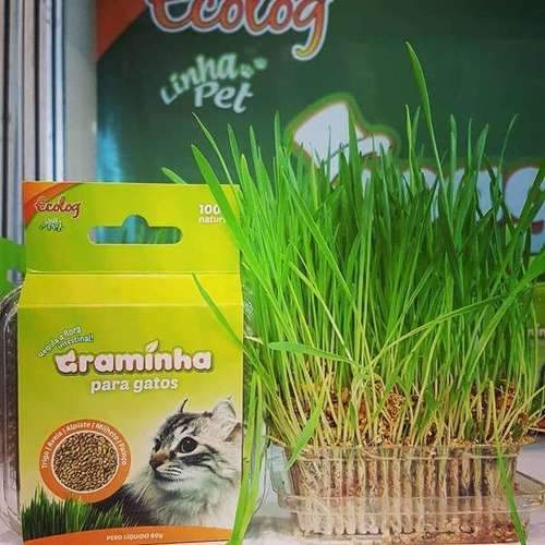 Graminha Pet Para Gatos Melhora Digestão Grama 100% Natural