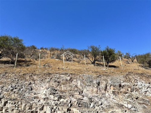 Imagen 6 de 7 de Sitio En Venta, Chamisero