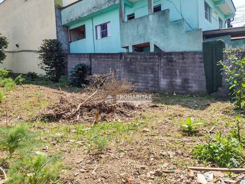 Imagem 2 de 4 de Terreno À Venda No Jardim Belcito - Te1248