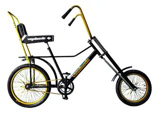 Bicicleta Vagabundo