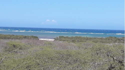 Monte Cristi  Buen Hombre Mucho Terreno Con  Playa