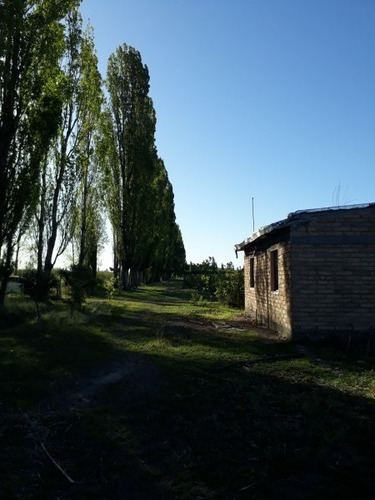 Vendo O Alquilo Finca En El Usillal