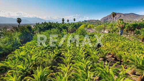The Crown Jewel At Las Animas, San Jose Del Cabo, Mls #23-131