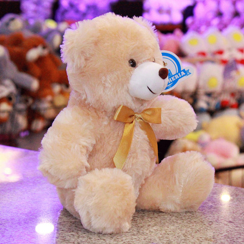 Oso Everbear Edition 23 Cm Pelucheria Internacional Color Café