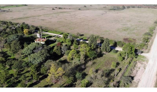 Imagen 5 de 27 de Comoda Casa Quinta De 4 Dormitorios Y 13.000 M2 De Parque Arbolado